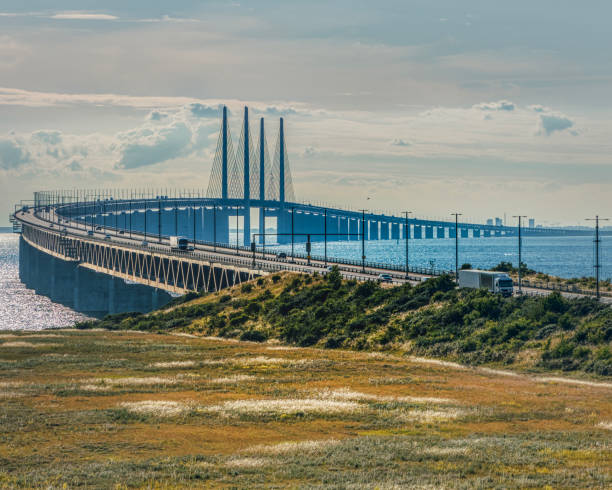 Bridge engineering